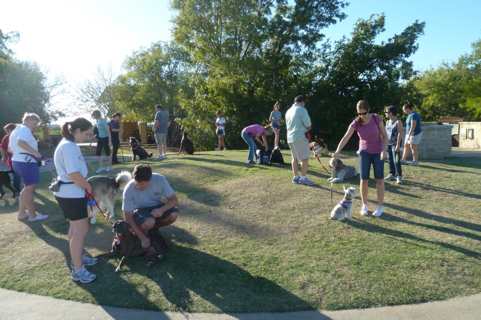 Fido's Finest Dog Training - Outdoor Group Classes