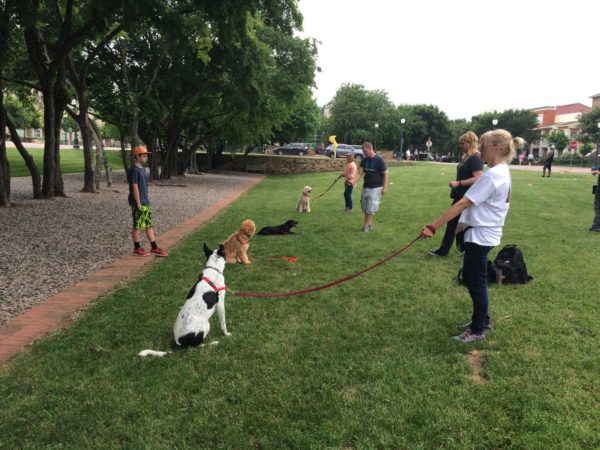 Fido's Finest Dog Training - Outdoor Adventure Class