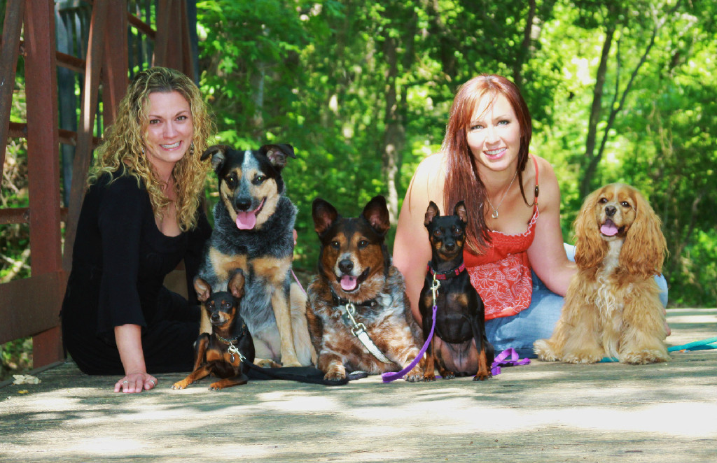 Certified Professional Dog trainers