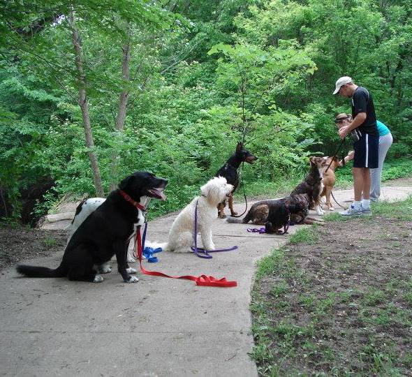 Fido's Finest Dog Training - Hike and Train Class