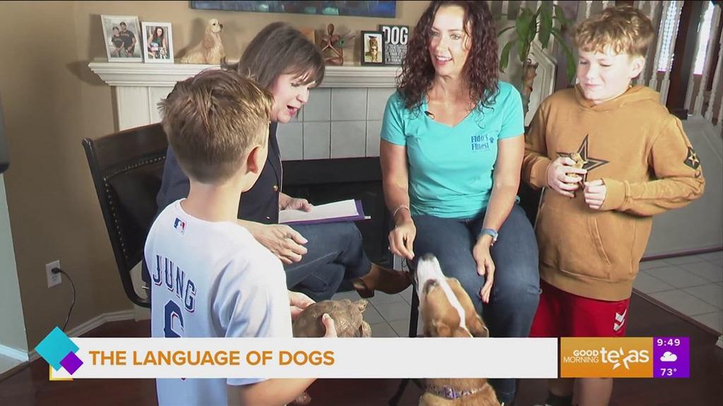 Fidos finest dog training featured on tv Good Morning Texas